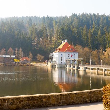 Ferienhaus Nr 15, Typ A, Feriendorf Jaegerpark, Bayerischer Wald Viechtach Dış mekan fotoğraf